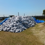 IMG_20260514_100558_1.jpg