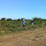 IMG_20261002_084654_2.jpg