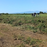 IMG_20261002_091428_2.jpg